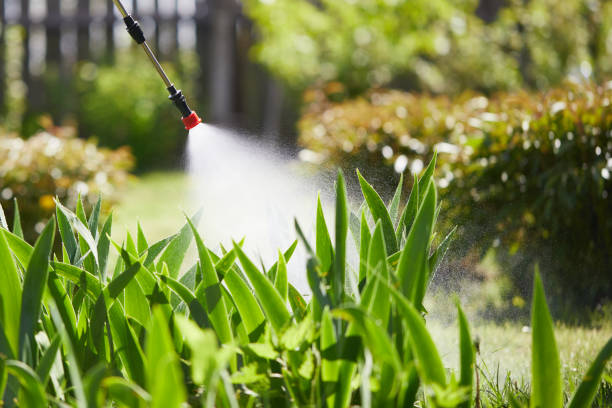 24/7 Emergency Mosquito Control experts in Kings Mountain, NC
