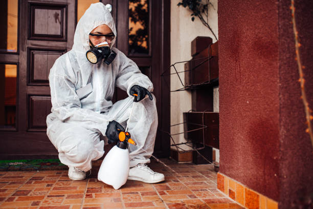 Reliable Mosquito Control contractor in Kings Mountain, NC by Show Me Pest Control
