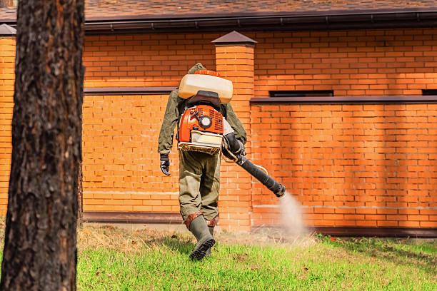 Top rated local Mosquito Control specialists in Kings Mountain, NC